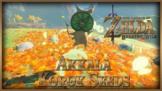 Zelda Breath of the Wild • Korok Seeds • Akkala [upl. by Shelba532]