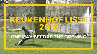 Keukenhof Lisse 2016  the day before opening [upl. by Macilroy720]