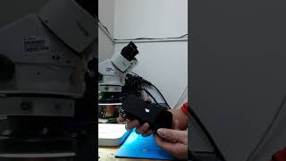 IPHONE XS  Rebooting please watch the video [upl. by Blayze]