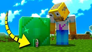 😱 ¡NOS ESCONDEMOS EN LA ESMERALDA MÁS PEQUEÑA DE MINECRAFT  MINI ESCONDITES EN MINECRAFT [upl. by Nidla]