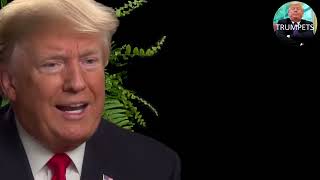 Between two Ferns Trump amp Zach Galifianakis [upl. by Joacimah]