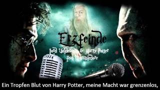 Erzfeinde – Lord Voldemort amp Harry Potter feat Dumbledore der märz hase Official Lyric Video [upl. by Norm]