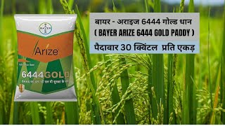 बायर  अराइज 6444 गोल्ड धान  BAYER ARIZE 6444 GOLD PADDY [upl. by Kreitman]