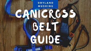 Choosing a Canicross Belt [upl. by Hayes]