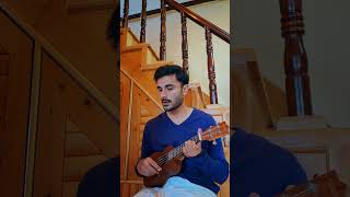 Tuntuna  Raw Ukulele Cover  Shamoon Ismail  Punjabi Song  By Aditya Sharma cover shorts [upl. by Aneelehs355]