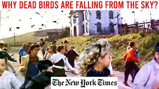 WHY DEAD BIRDS ARE FALLING FROM THE SKY FULFILMENT OF HOSEAS TERRIFYING PROPHECY [upl. by Evanne257]