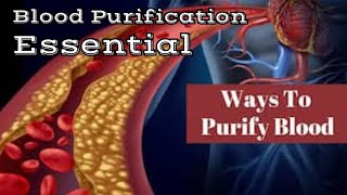 Blood Purification is essential ।। Purify Your Blood Naturally [upl. by Pickering]