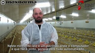 🐣 🐥 🐔 Avicultura – Luís Neto 🐔 🐥 🐣 [upl. by Kennan546]