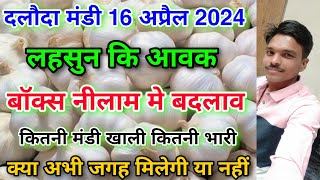 दलौदा मंडी 16 अप्रैल 2024 कि लहसुन कि आवक garlic arrival today daloda mandi aaj ki lahsun aavk [upl. by Pizor]