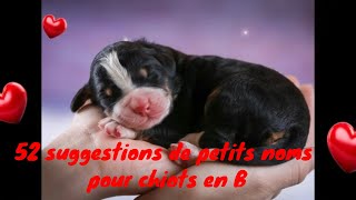 🐺🐶❤❤ 52 suggestions de petits noms pour chiots en B [upl. by Eaver983]