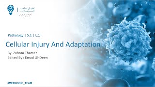 Cellular Injury And Adaptation P1  Pathology [upl. by Semajwerdna417]