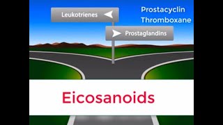 Eicosanoids in 2 minutes Prostaglandins Prostacyclin Thromboxane and Leukotrienes [upl. by Cyrus]