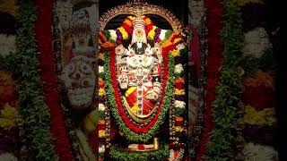 Balaji Mantra  Tirupati Balaji song  Balaji video  Tirupati Balaji status tirupati [upl. by Ttehc]