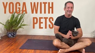 Yoga With Pets [upl. by Pooh841]