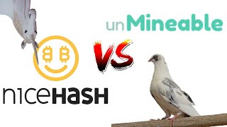 CPU Mining Nicehash vs Unmineable [upl. by Kylstra]