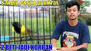 SOGON JESSICA PILIH PAKAI UNTUL [upl. by Eilahtan]