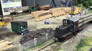 Spur IIm Modellbahn  Waldbahn Neupetershain  ModellbahnLinks [upl. by Aicile84]