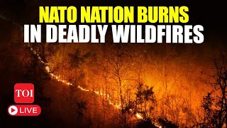 LIVE  Portugal Wildfires Rage Out Of Control 7 Killed  NATO Nation In State Of Calamity [upl. by Cohligan]