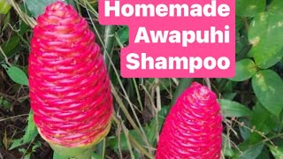 Homemade Awapuhi Shampoo  Itty Biddy Farm [upl. by Marciano799]