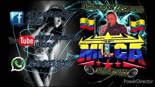 LAS PALMITAS DEL ECUADOR 2023 ZAZAZA DJ MESSI LIMPIA 🇪🇨🇪🇨🇪🇨 [upl. by Enelav173]