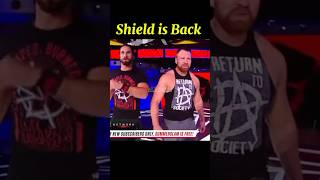 The shield Returns to Save Roman Reigns 🔥 wwe shorts [upl. by Dawson]