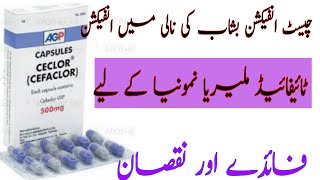 Ceclor capsule Slate Cefaclor uses side effects how to use in Urdu  Hindi cefaclor capsule [upl. by Siobhan506]