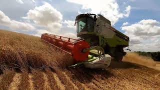 Moisson 2023 blé Lexion Montana dans les pentes [upl. by Scrivens]