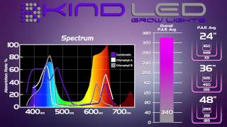 LED vs HPS  LED Grow Light Throwdown [upl. by Plate460]