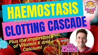 Hemostasis and the Clotting Cascade Why Vitamin K amp Calcium are important [upl. by Eednac]