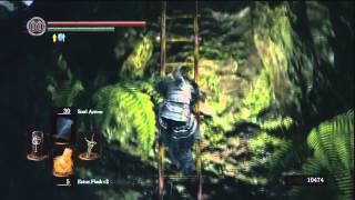 Dark Souls  Metal Gear Solid 3 Snake Eater Ladder [upl. by Ursas437]