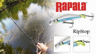 Rapala RipStop 09 Elite Blue  Hárosi balin és csuka [upl. by Kent]