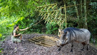 Giant Wild Boar Trap  The Power to Survive Spectacularly Multiday Survival Trip Part 3 [upl. by Feodora125]