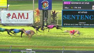 Capalaba15092024Race12 [upl. by Castle]