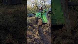 Sketchy Sycamore Tree Takedown arborist [upl. by Lean]