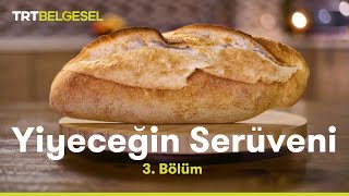 Yiyeceğin Serüveni  Ekmek  TRT Belgesel [upl. by Lucie518]