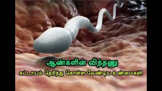 ஆண்களின் விந்தணு  கட்டாயம் தெரிந்து கொள்ள‌ வேண்டிய உண்மைகள் [upl. by Llerahs]