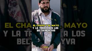 EL CHAP0 Y EL MAY0 TRAICIONARON A ARTURO BELTRÁN LEIVA🇲🇽💀shorts mexico narcos [upl. by Eizeerb]