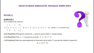 Selectividad Andalucía Junio 2024 Sociales Bloque A Matrices Matemáticas CCSS [upl. by Dacie]