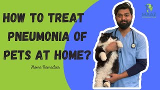 How to Treat Pnemonia of Pets at Home  pneumonia catlover veterinary cattreat veterinarian [upl. by Owiat904]