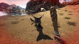 How to Tame a Jerboa on Ragnarok [upl. by Ataeb]