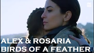 Alex amp Rosaria  Birds of a Feather [upl. by Arnie]