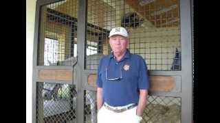 Dr Steve Soule USEF veterinarian reviews Silver Whinnys® aka Summer Whinnys® [upl. by Gautea]