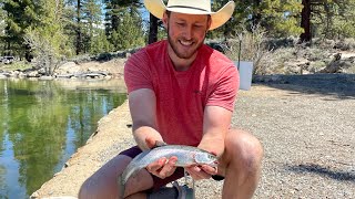 Spring Trout Fishing Twin Lakes CA [upl. by Rockefeller363]