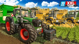 LS22 Beginn der XXLRübenernte  XXL Farm 2 1  FARMING SIMULATOR 22 [upl. by Sedda]