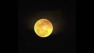 La Super Luna Sólo hoy 14 de Noviembre [upl. by Nenney203]