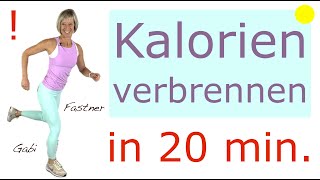 ❗️Kalorien verbrennen in 20 min  ca 200 Kcal  schnell und effektiv  ohne Geräte im Stehen [upl. by Bengt668]