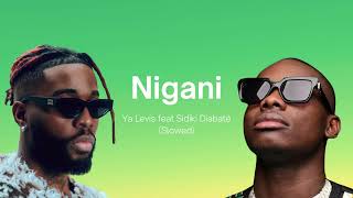 Ya Levis ft Sidiki Diabaté Nigani Slowed [upl. by Moncear]