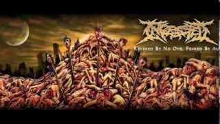 Ingested  ENDGAME NEW 2013 [upl. by Llehsal]