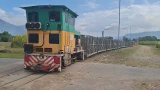 Cane trains moving empty bins around Mulgrave mill [upl. by Nosae529]