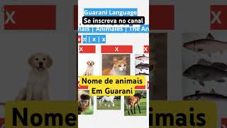 10 Animal Names in the Guarani language language english [upl. by Yendis]